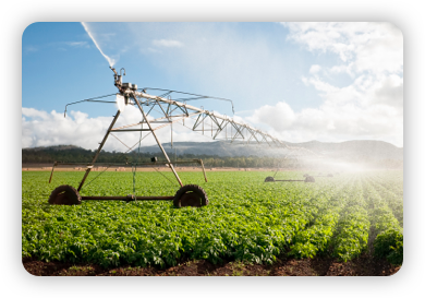 Irrigation