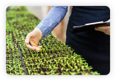 Planting