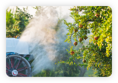Spraying