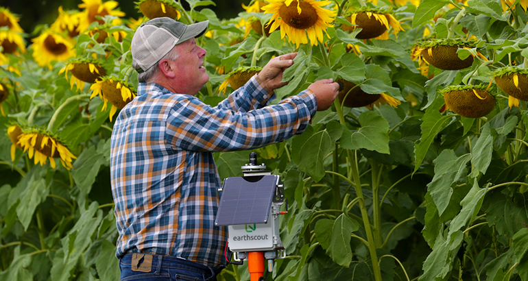 Field Monitoring with EarthScout