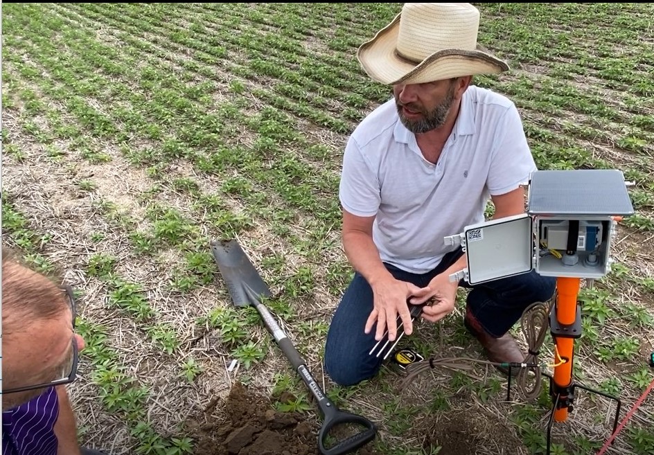 Troy Schmidtke installing soil probe in a hemp field