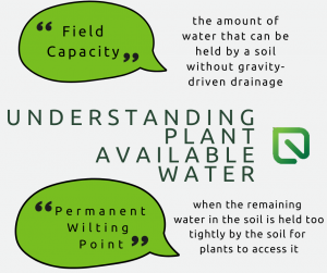 Understanding Plant Available Water