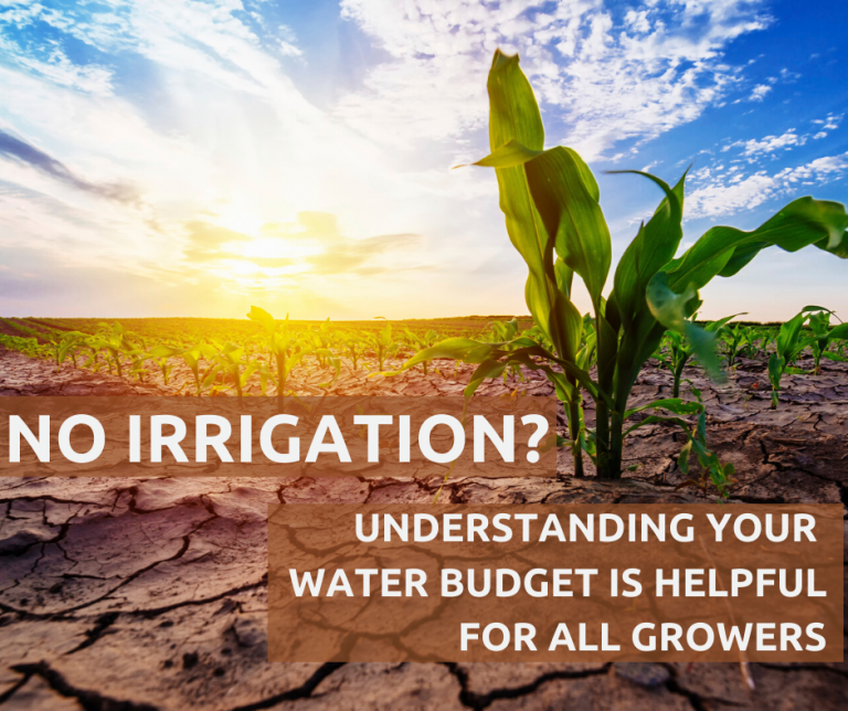 EarthScout Soil Moisture Data Helps Reduce Costs and Increase Yields