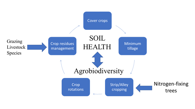 Suggested soil health management practices