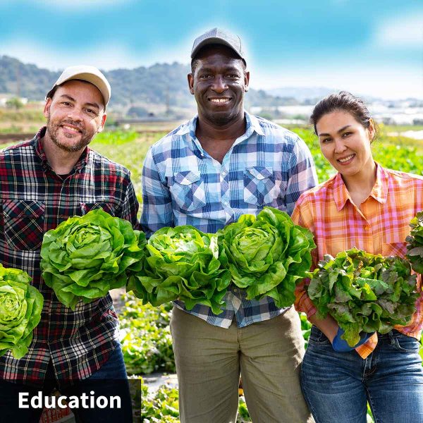 NEW! SOIL CUB 5-in-1 Soil Moisture Meter with TDR Sensor