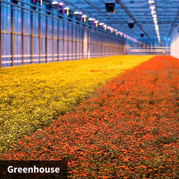 NEW! SOIL CUB 5-in-1 Soil Moisture Meter with TDR Sensor