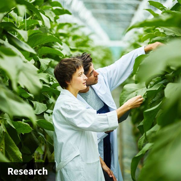 NEW! SOIL CUB 5-in-1 Soil Moisture Meter with TDR Sensor